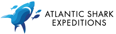 Atlantic Shark Expeditions - logo