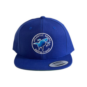 Logo Snapback Cap - Blue