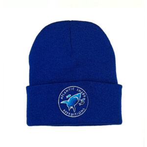 Shark Beanie - Blue