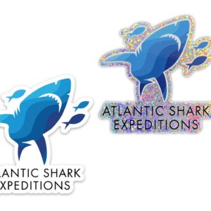ASE Stickers 2-Pack