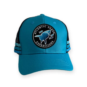 ASE Cap - Blue